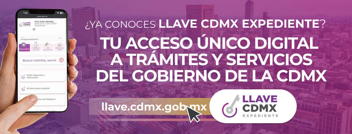 Llave CDMX Expediente